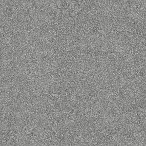 Image Zoomed Swatch