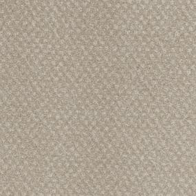 Signature Zoomed Swatch