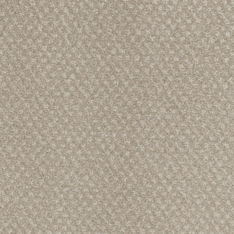 Signature Zoomed Swatch