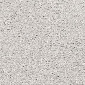 Shiny Lustre Zoomed Swatch