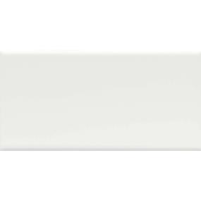 Ice Swatch