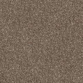 Castlepoint Zoomed Swatch
