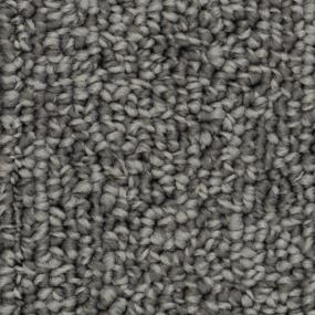 Baby Seal Zoomed Swatch
