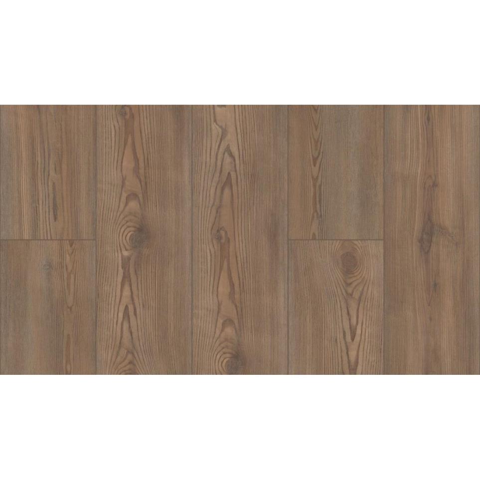 Pembroke Pine Swatch