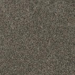 Trendsetter I - Russett Swatch