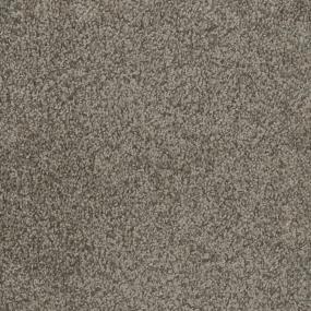 Trendsetter II - Twig Swatch