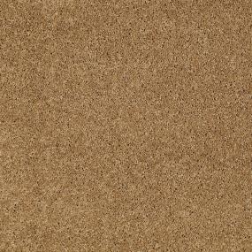 Ts277 - Tiger Eye Swatch