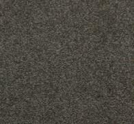 Platinum Swatch Thumbnail