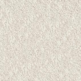 Akita - Bichon Frise Swatch