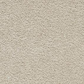 Whimbrel - Antiquity Swatch