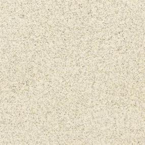 Pacific Grove - Lighthouse Swatch