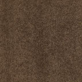Bison Swatch Thumbnail