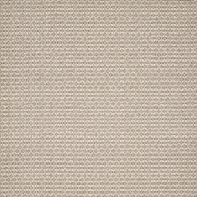Clearwater - Taupe Swatch