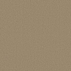 Blossom Snow - Twig Swatch
