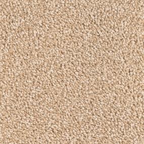 Montauk - Cashew Swatch