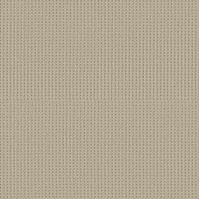 Dawn Chorus - Sesame Seeds Swatch