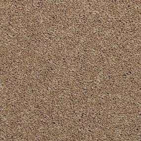 Maison Chic - Cafe Swatch
