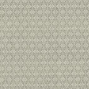 Star Time - Grey Swatch