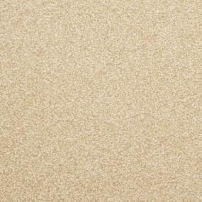 Delight - Rawhide Swatch