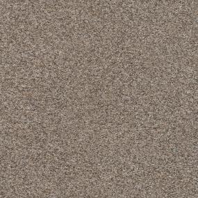 Stop & Stare II - Cabin Retreat Swatch