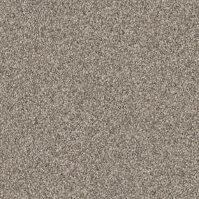 Adore - Driftwood Swatch