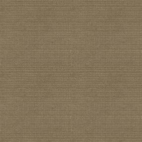 Well Rounded - Granola Swatch