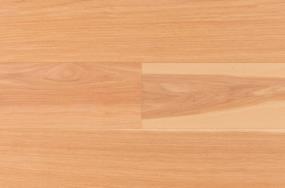 Baffin Island - Cashew Swatch
