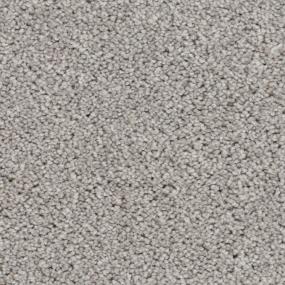 Dolphin Fin Zoomed Swatch