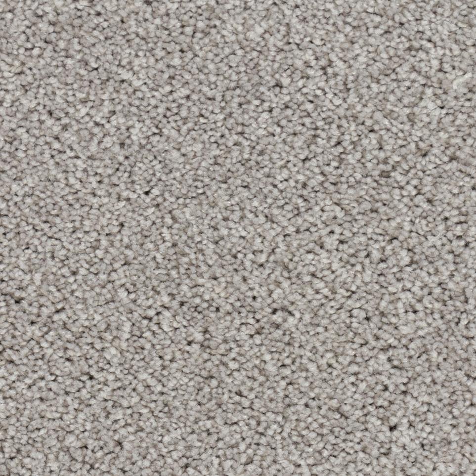 Dolphin Fin Zoomed Swatch