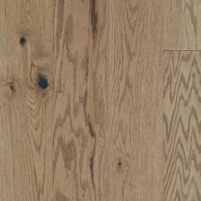 Voyage Zoomed Swatch