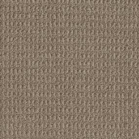 Plaza Taupe Zoomed Swatch