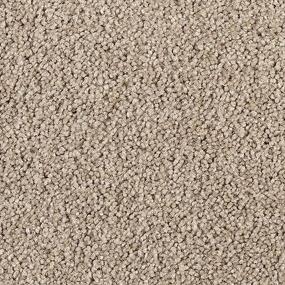 Delightful Intent - Smokey Taupe Swatch