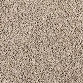 Smokey Taupe Zoomed Swatch