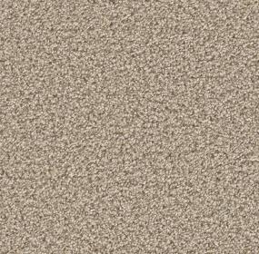 Oxford Swatch Thumbnail