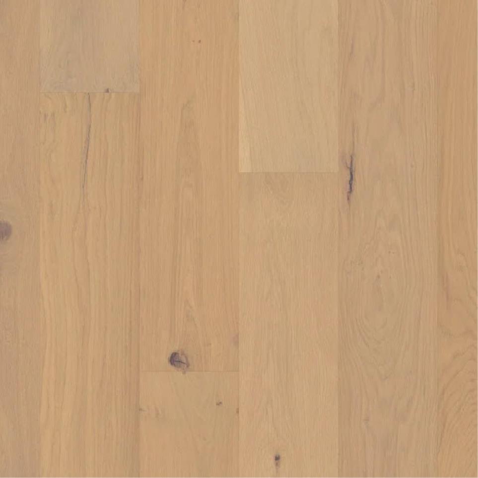 Ensemble by Shaw - Champagne