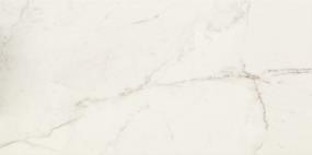 Classentino Marble Rectangle 24X48 Mt - Palazzo White Matte Swatch