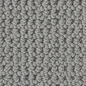 Arden Park - Tin Foil Swatch