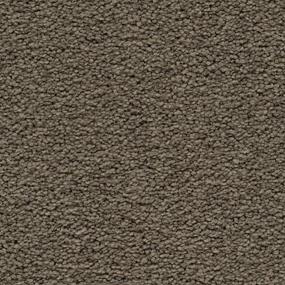 Artisan Delight - Shadywood Swatch