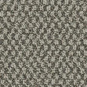 Cambridge Square - Dakota Swatch
