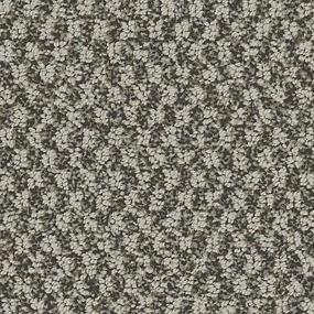 Dakota Zoomed Swatch