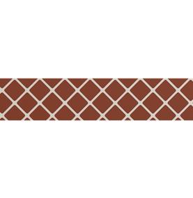 Vectora Glossy 2X11 - Ruby Swatch
