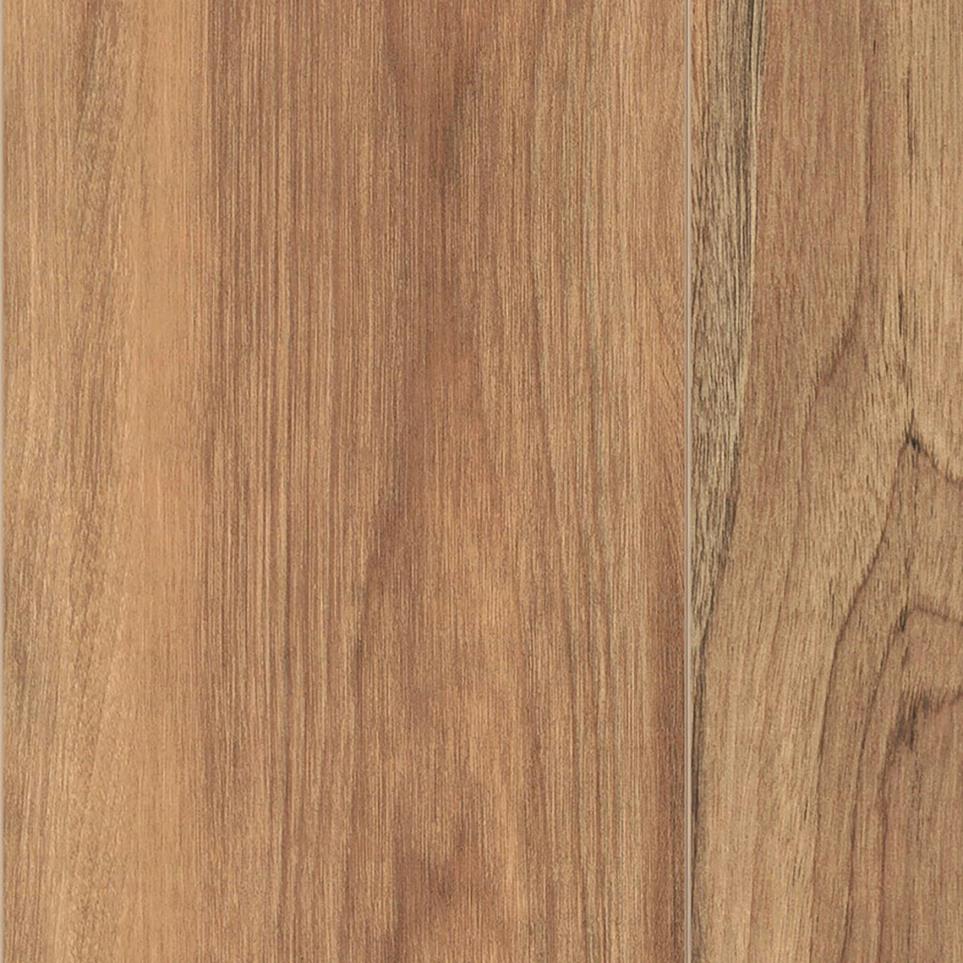 Brown Sugar Zoomed Swatch
