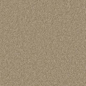 Toasted Zoomed Swatch