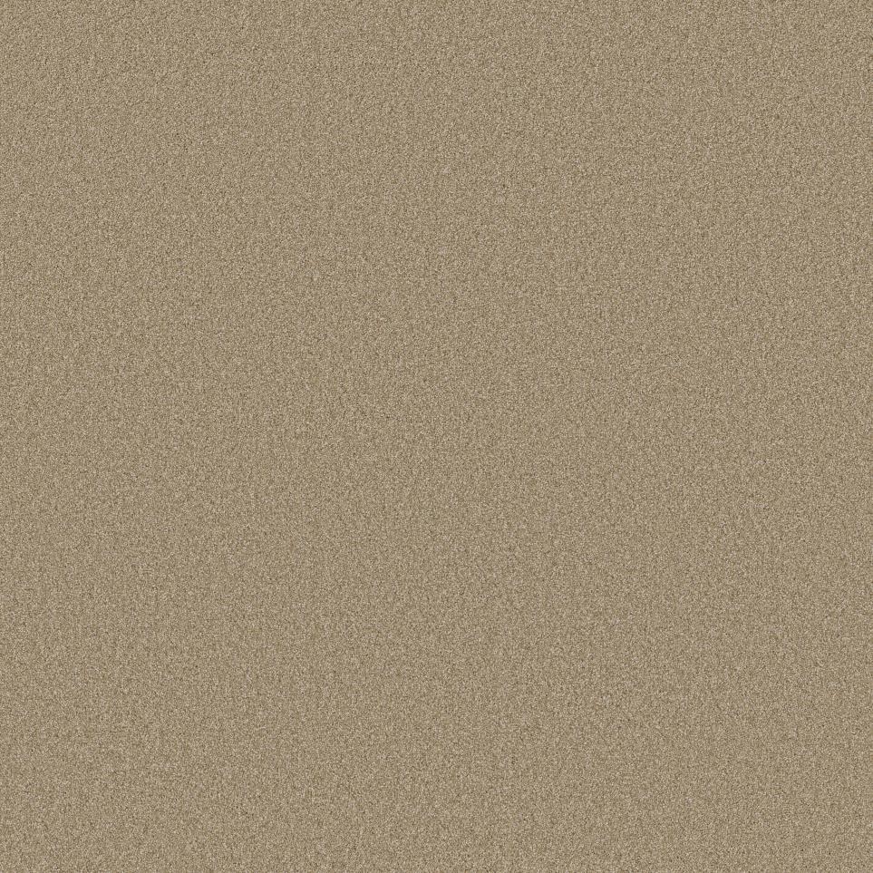 Toasted Swatch