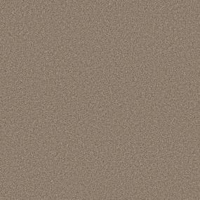 Cool Harbor II - Honey Tone Swatch