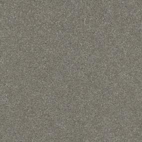 Best Bet Zoomed Swatch