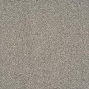 Star Power - Casual Swatch