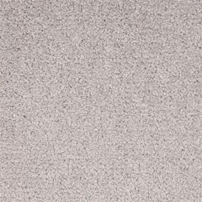 Silver Medal Swatch Thumbnail