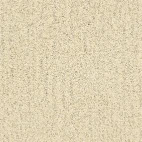 Monterey - Coastline Swatch