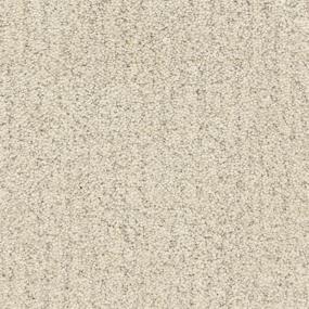 Monterey - Sea Wall Swatch